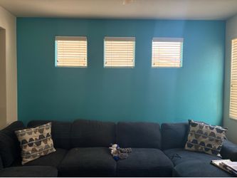 Used pull out bed sectional