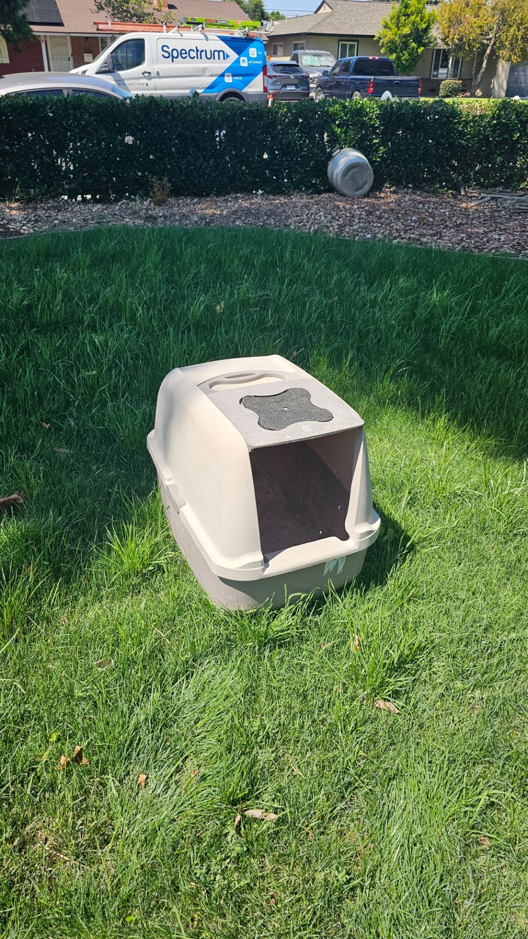 Litter box
