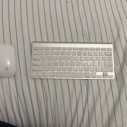 Apple Magic Mouse and keyboard 
