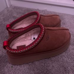Ugg tazz