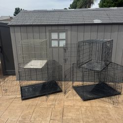 Kennel/jaulas 