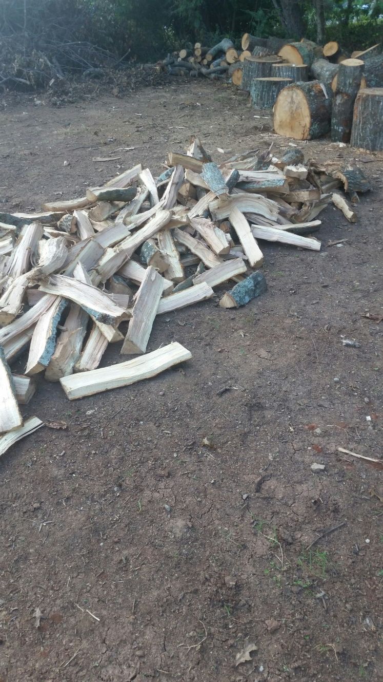 Hickory & oak wood