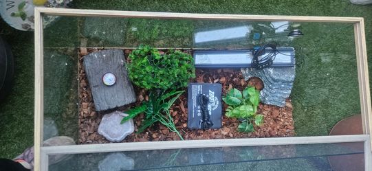 Reptile tank