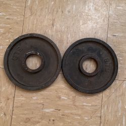 5Lb Weight Plates 
