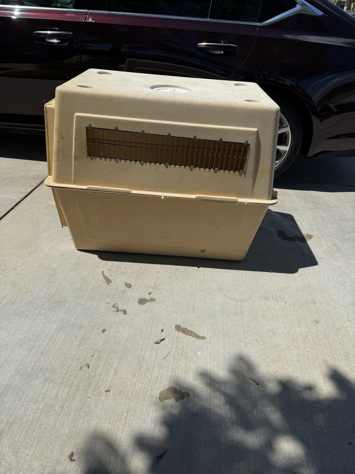 Dog or cat carrier