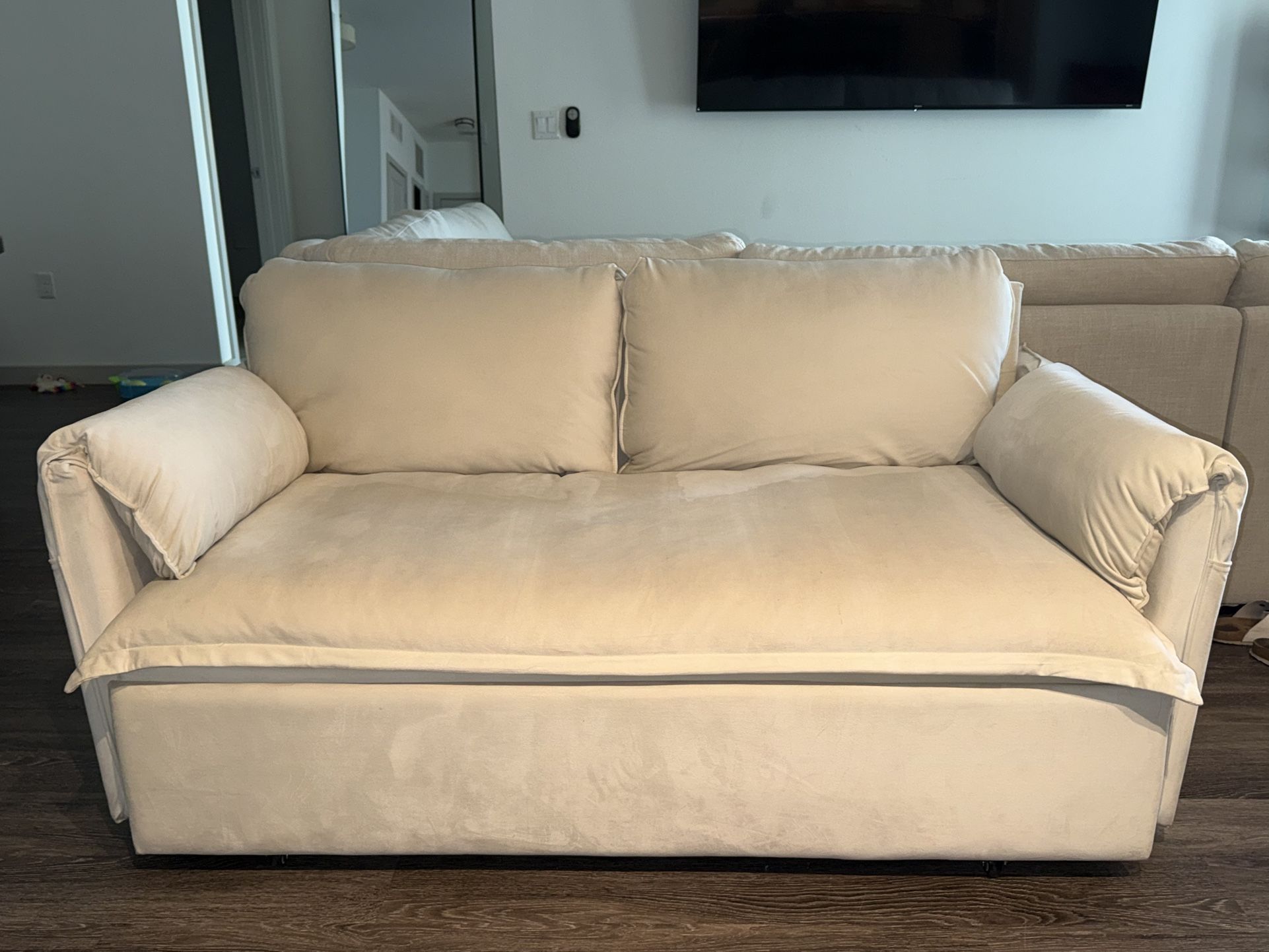 Pull Out Sofa Couch