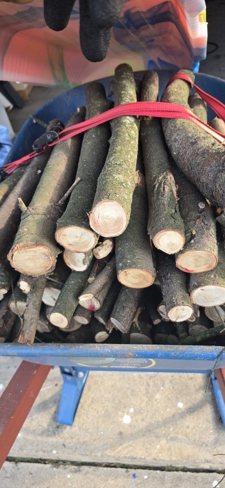 Pine Wood