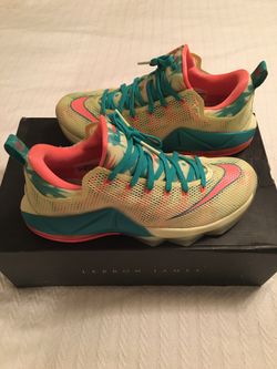 Lebron 12 low Lebronald Palmers size 10.5
