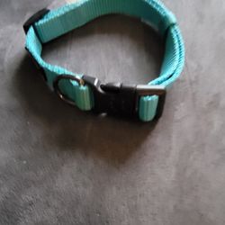 Small Dog Collar, but Adjustable