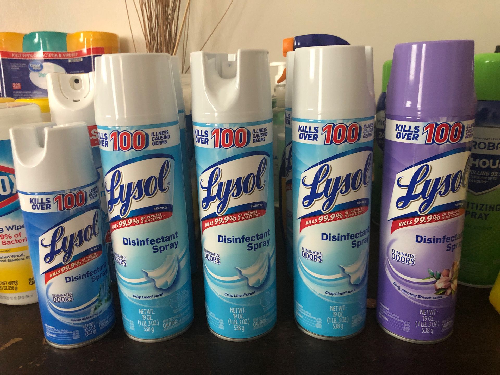 Lysol 19oz . - Make Offer / Please include quantity desired e.g.; per can.., each ..., entire package. Note: there are (4 ) 19oz cans available