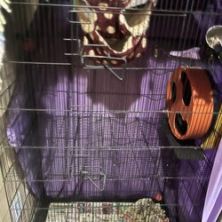 Large Cage 