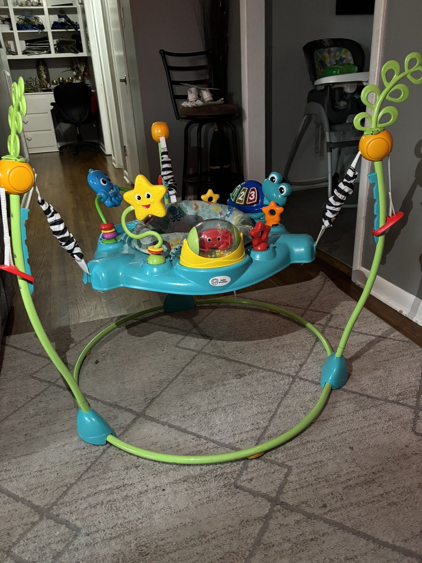 Baby Bouncer 