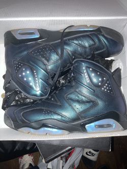 Jordan 6 Chameleon