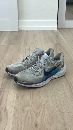 Nike Pegasus 41s Size 11 Men’s