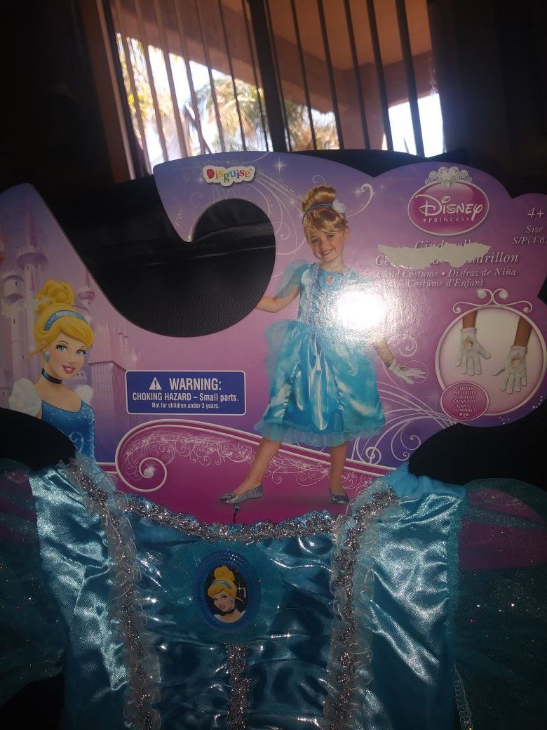 Disney Cinderella costume