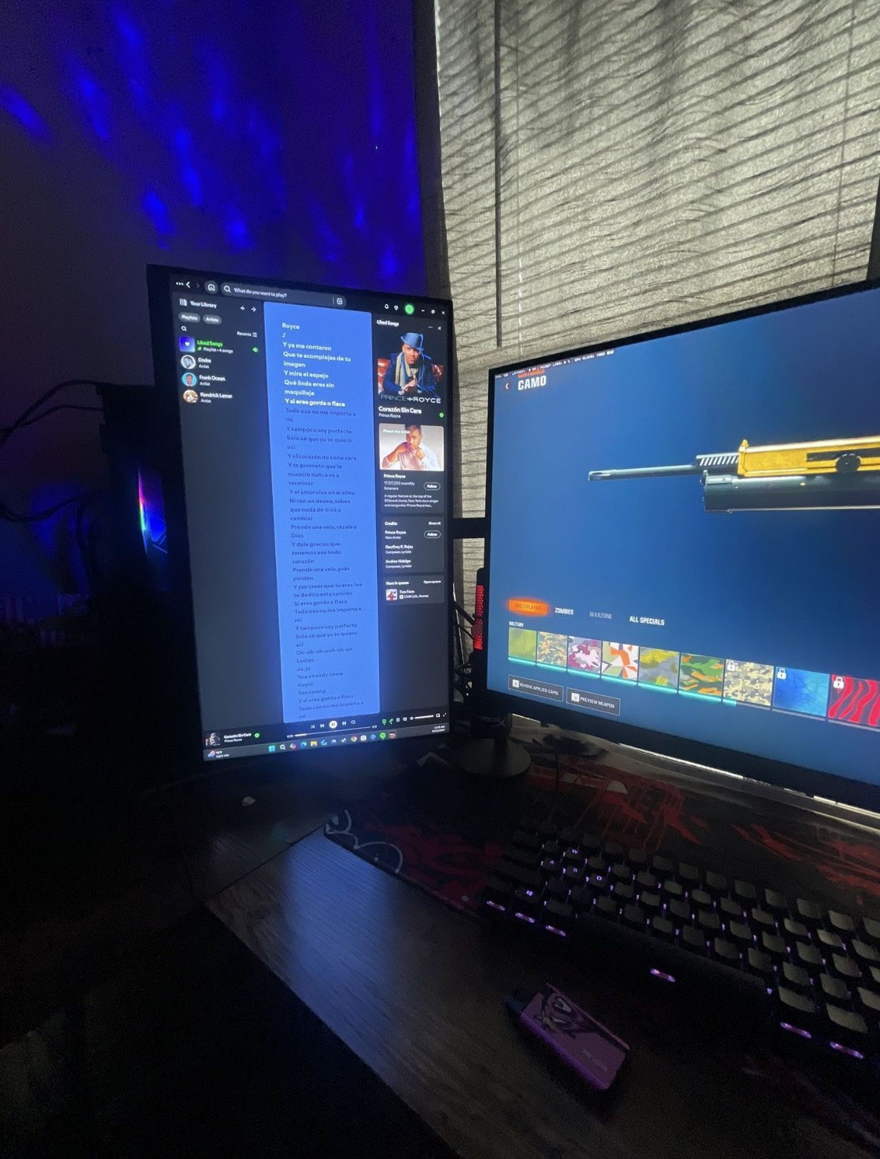 Gaming Setup