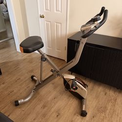 Exerpeutic Exercise bike