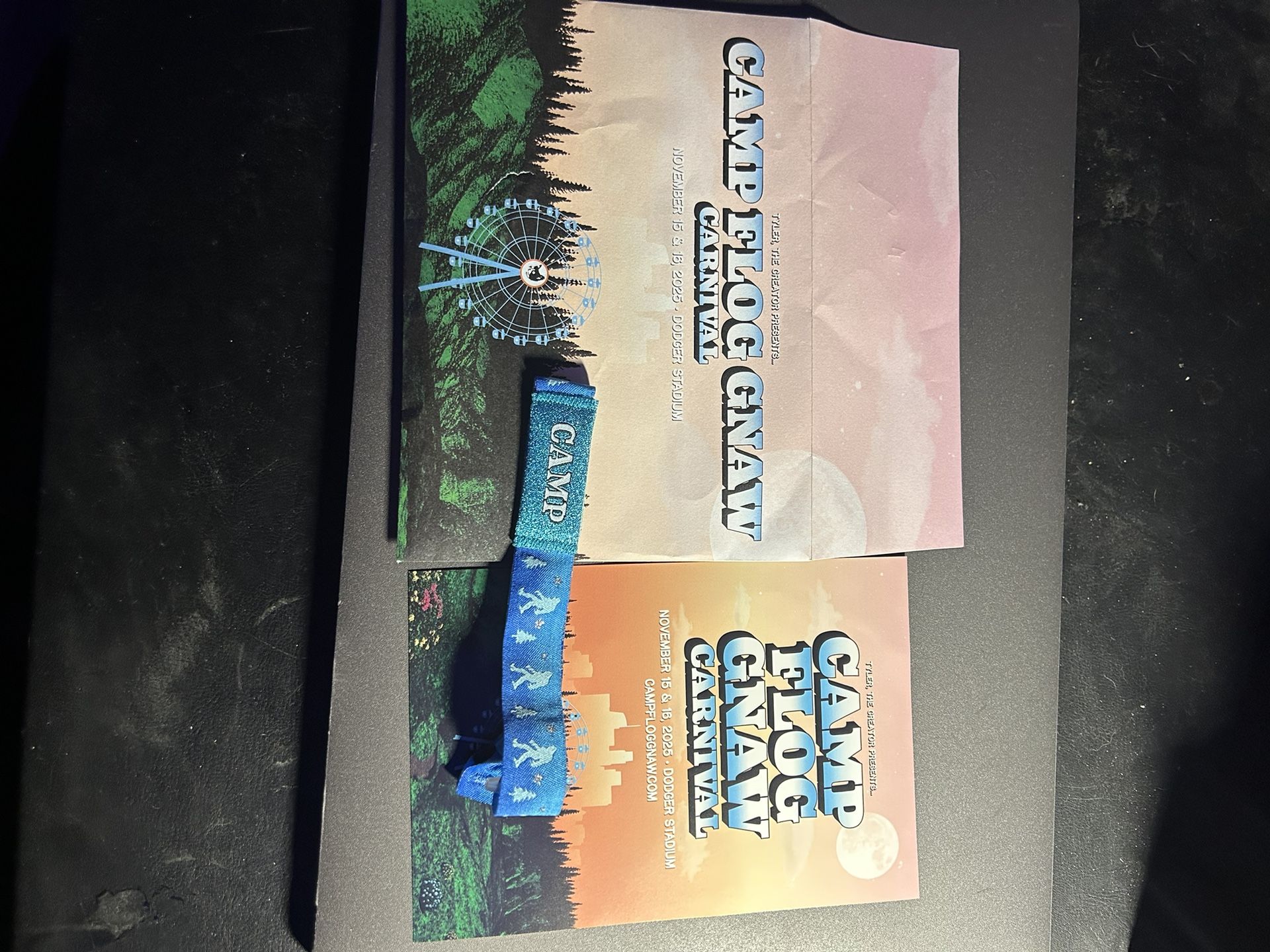CAMP FLOG NAW 2-DAY GA WRISTBAND/TICKET