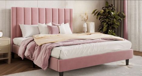 Queen Bed Frame & Mattress