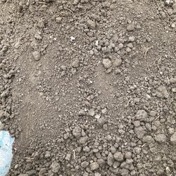 Free Dirt
