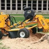 Stump Grinding