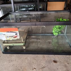 40 Breeder Aquarium Turtle 