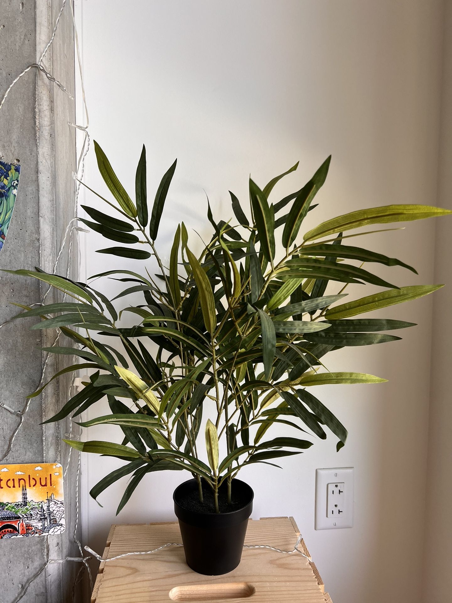 Fake IKEA Plant