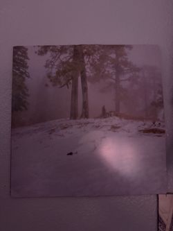 Wisp vinyl