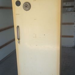 Vintage Stand-up Freezer
