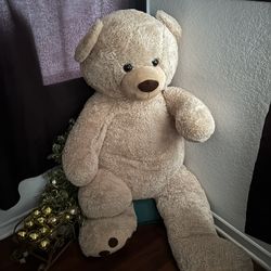 Bears