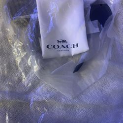 Walt Disney World Coach Mickey Ears 