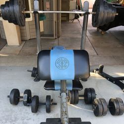 Golds Gym Bench + Weights