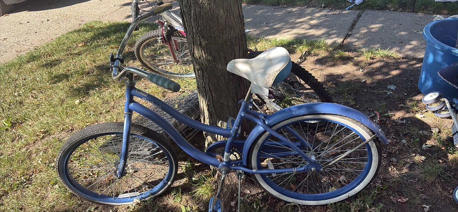 Cranbrook Blue Bicycle