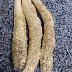 Luffa Sponge (3 For $15)