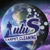   Steam Carpet Cleaning 