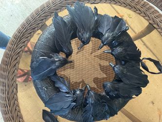Black crow wreath