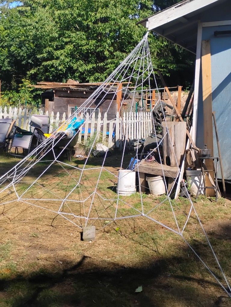 Halloween Decorating (Spiderwebs Only)