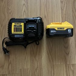 DeWalt DCB1106 6-Amp Fast Charger and a DeWalt 20V MAX 6.0Ah Lithium-Ion Battery