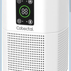 Air Purifier for Home 