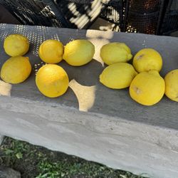 organic 🍋 lemons