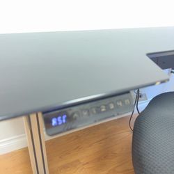 Gamer Desk 
