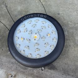 Indoor Grow Supplies And Tent