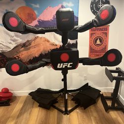 BAS Full Punch/Kickbag UFC System