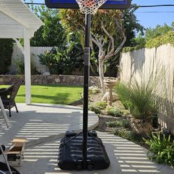 Lifetime 44" Basketball Hoop