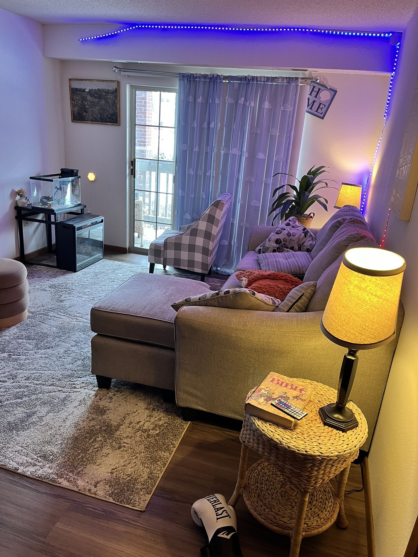 Furniture, lamp Lights, Punching Bag And stand And More