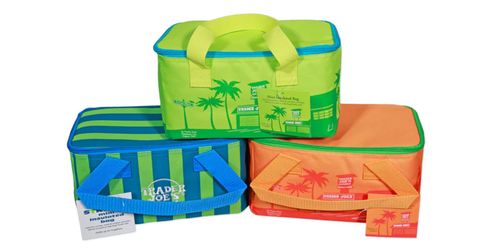Trader Joes Summer Mini Insulated Bag