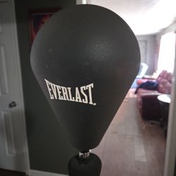 Everlast Reflex Bag 