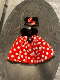 Minnie Mouse costume 3 years