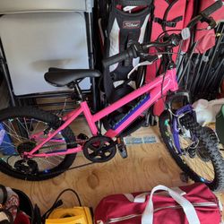 Girls Bicycle 20”. 