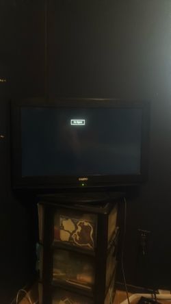 24in not smart tv